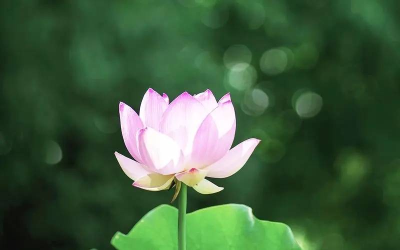 读：牌阵与深度解析指南开元棋牌塔罗牌财运解(图1)